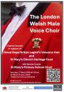 St David's Day Charity Concert, Oxted